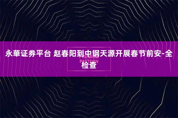 永華证券平台 赵春阳到中钢天源开展春节前安-全检查